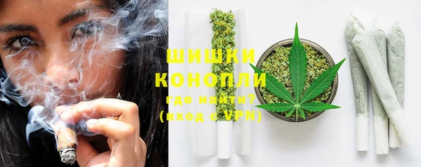 прущие грибы Заводоуковск