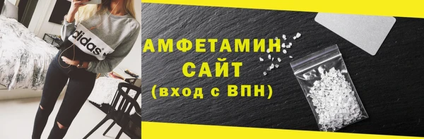 прущие грибы Заводоуковск