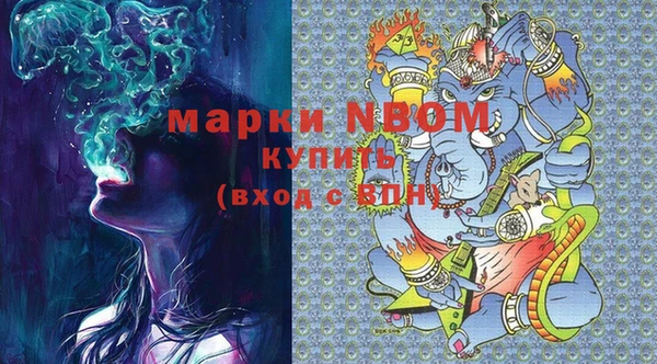 прущие грибы Заводоуковск