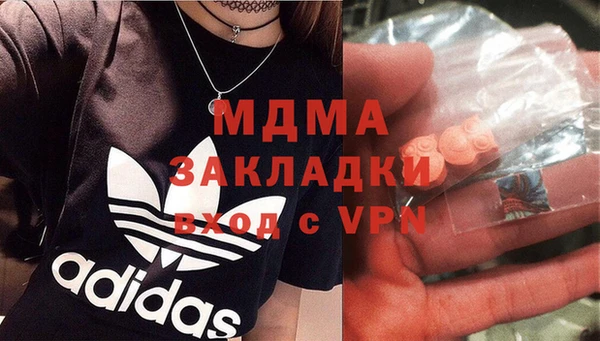 прущие грибы Заводоуковск